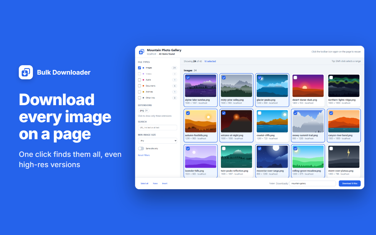 Bulk Downloader listing the images on a photo gallery page, with file-type filters on the left and ten images selected for download